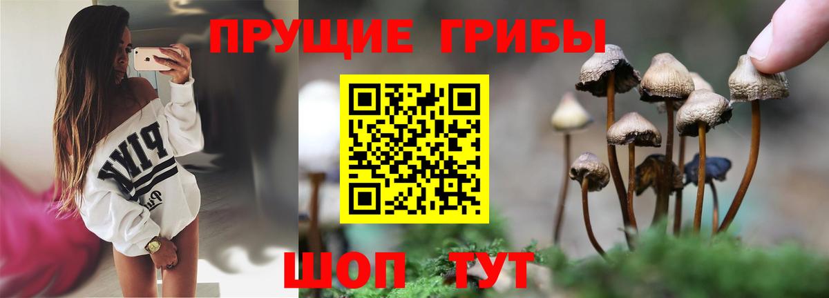 Галлюциногенные грибы ЛСД  Вход с VPN  Серов 